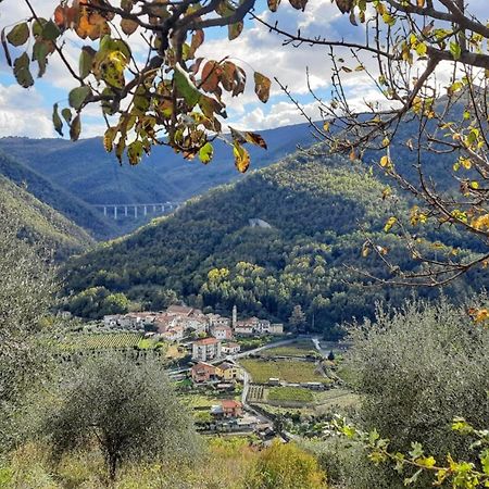 Agriturismo A Ca Du Paiperu Pieve di Teco Buitenkant foto