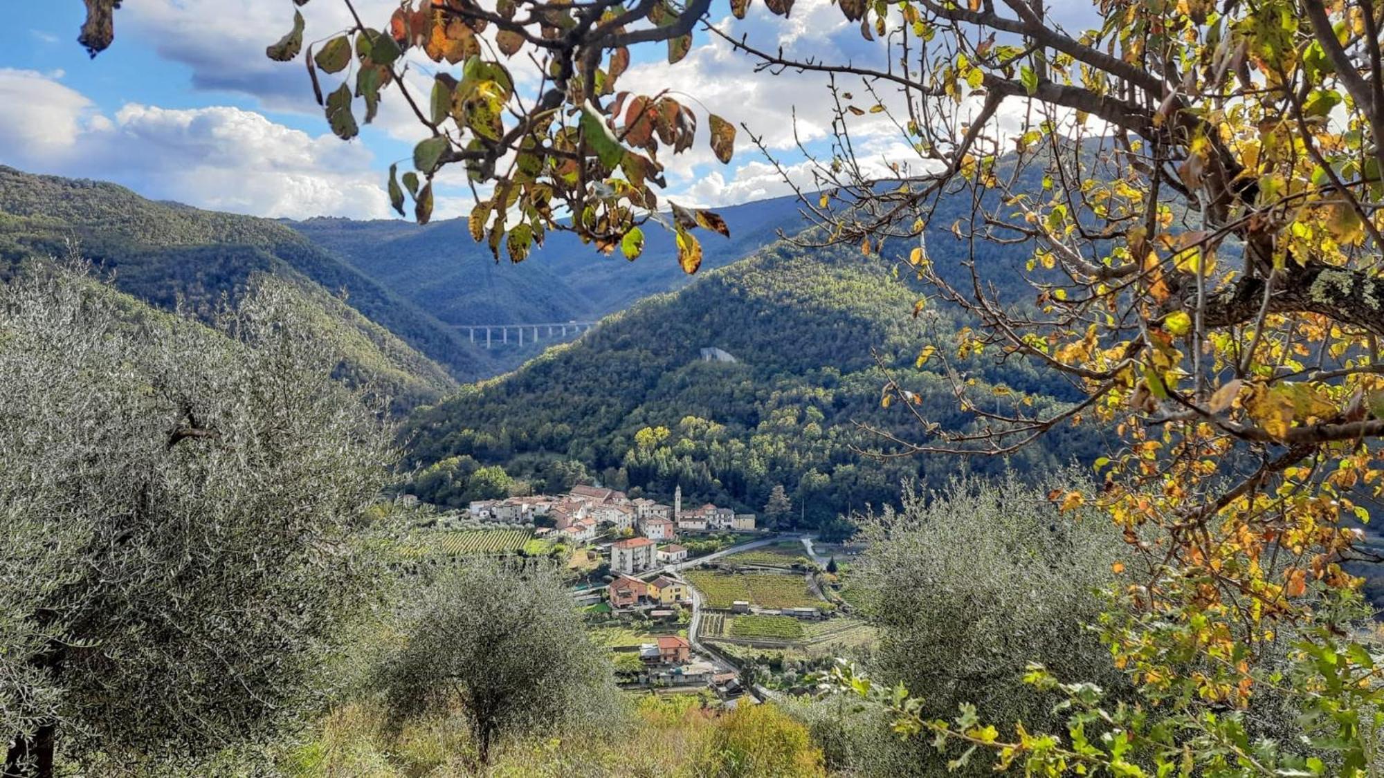 Agriturismo A Ca Du Paiperu Pieve di Teco Buitenkant foto